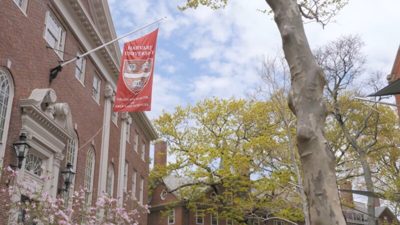 Harvard University Boston